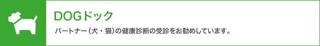 DOGドック